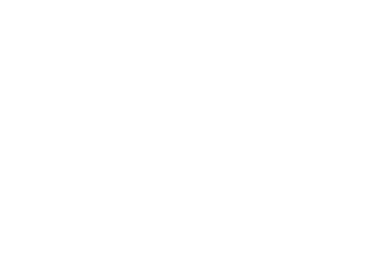 America's Birthday Bash