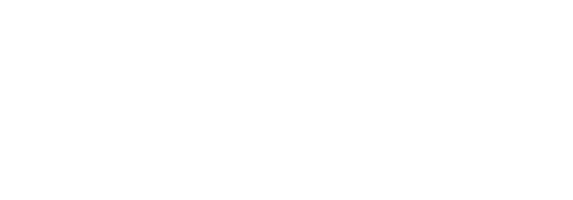 New World New Voices